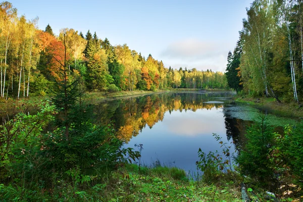 Autumn lake Stock Image