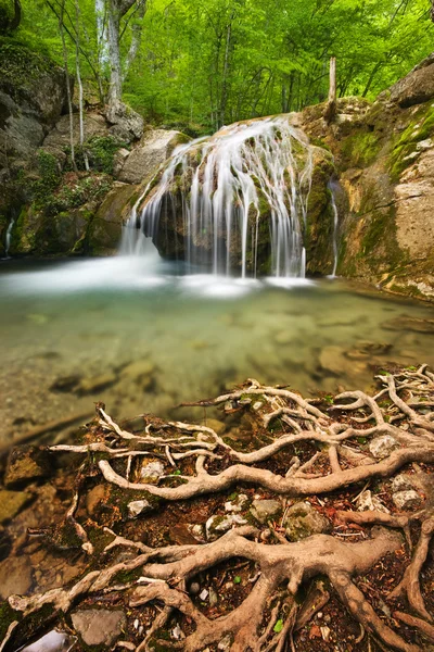 Wasserfall und Wurzeln — Stockfoto
