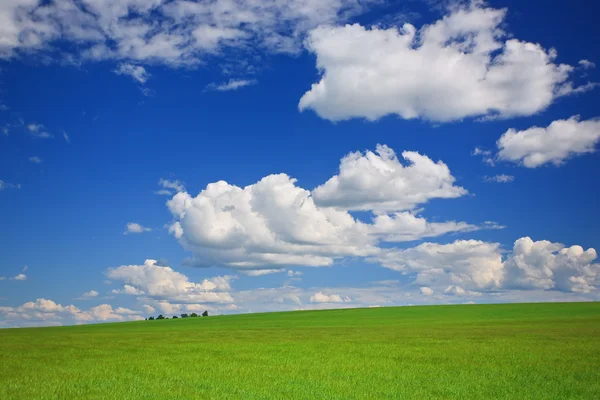 Prado verde, céu, nuvens — Fotografia de Stock