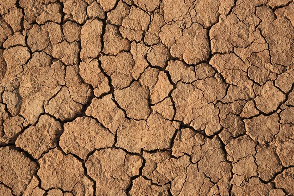 Fissures dans un sol brun — Photo