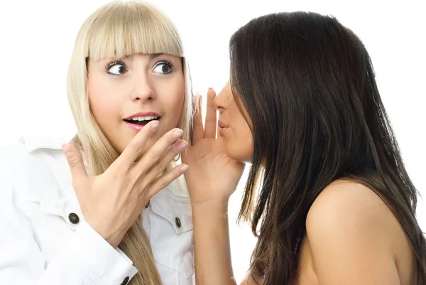 Gossiping meninas — Fotografia de Stock