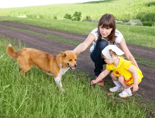 母と娘、犬と遊ぶ — ストック写真