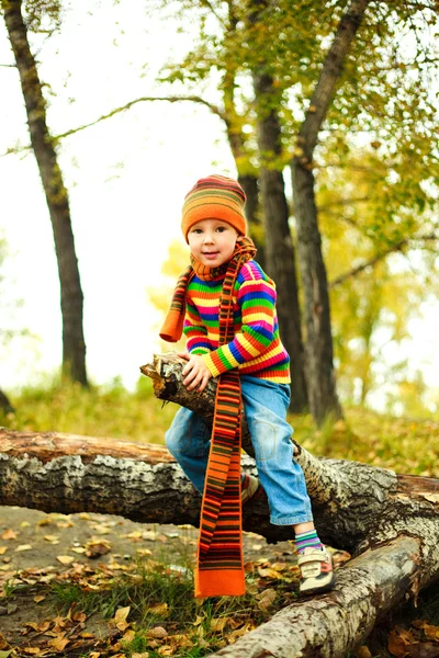Chłopiec w parku — Zdjęcie stockowe