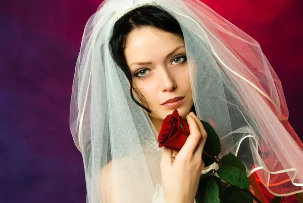 Gyönyörű barna menyasszony piros rózsával — Stock Fotó