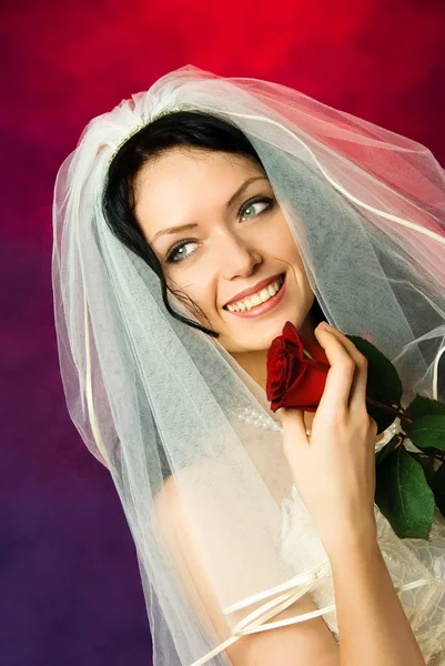 Bella sposa bruna con una rosa rossa — Foto Stock