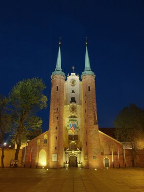 Oliwa Cathedral in the night, Poland. clipart