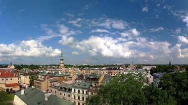 Panorama of Zamosc clipart