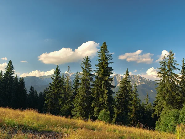 Vista de Tatra —  Fotos de Stock
