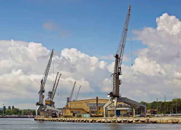 Cranes in harbour — Stock Photo, Image