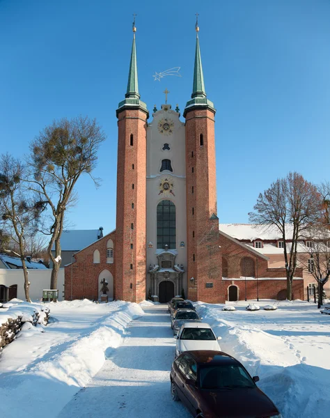 在冬天，波兰大教堂 oliwa. — 图库照片