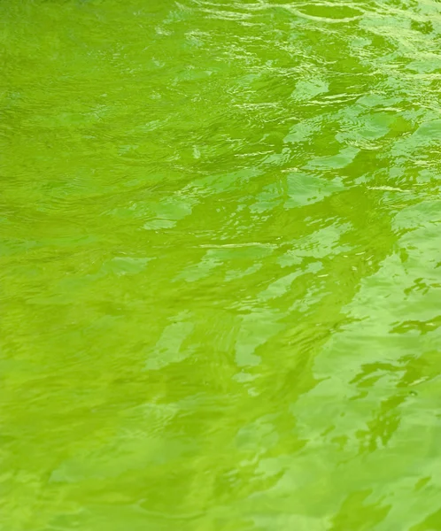 Zelená voda — Stock fotografie