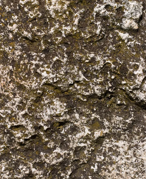 Roccia con muschio — Foto Stock