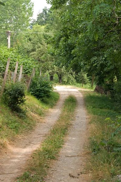 Estrada rural — Fotografia de Stock