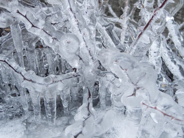 冷凍プラント — ストック写真