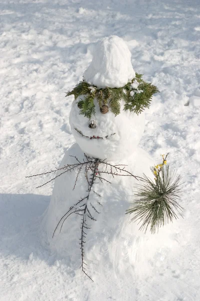 Kardan adam — Stok fotoğraf