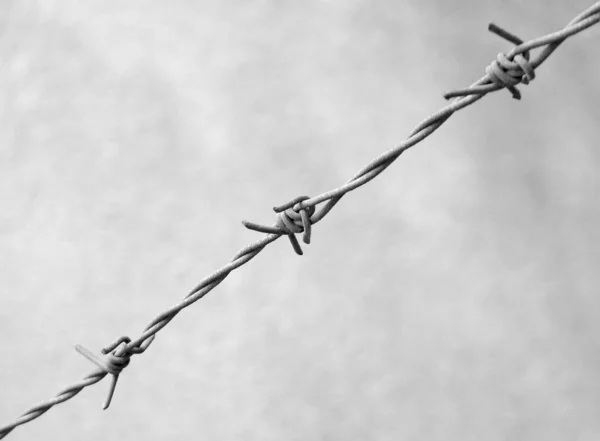 Barbed Wire — Stock Photo, Image