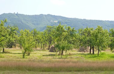 Dağ manzarası