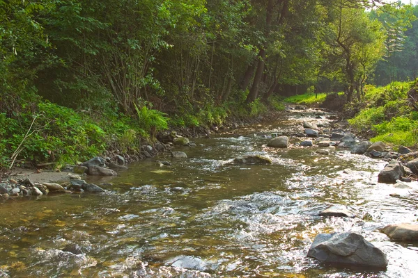 stock image Mountain spring