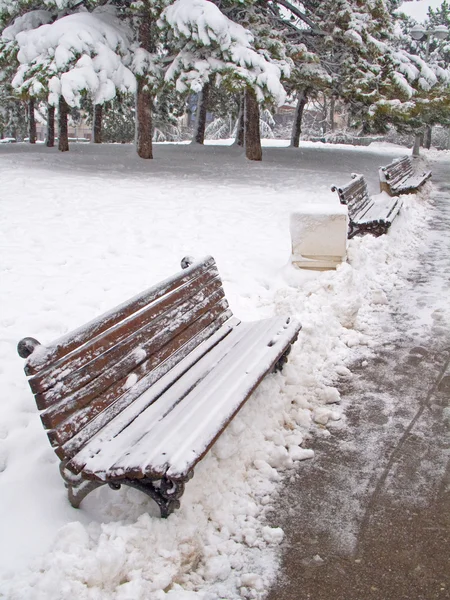 Bench covered in snow — Stock Photo, Image