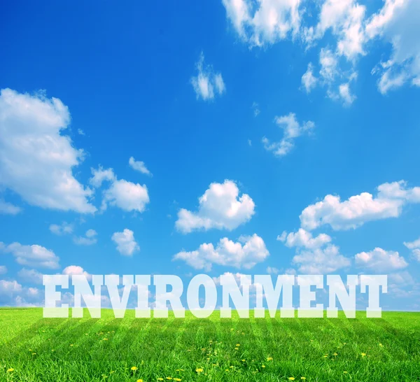 Środowisko podpis na zielony ziemia — Zdjęcie stockowe