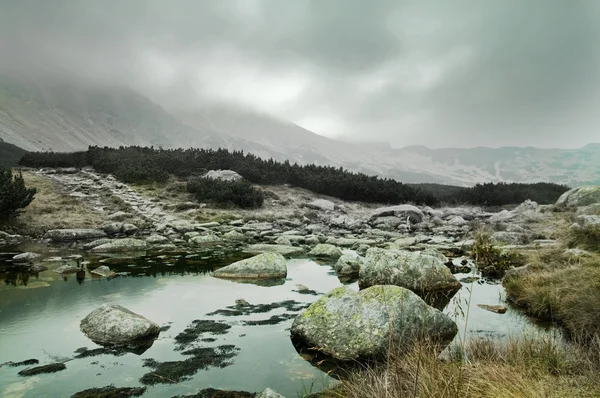 Rocky mountains landschap — Stockfoto