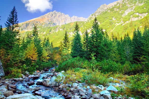 Montañas paisaje colorido —  Fotos de Stock