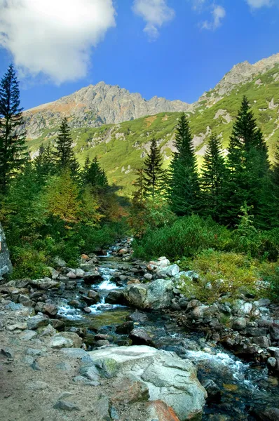 Kleurrijk landschap van bergen — Stockfoto