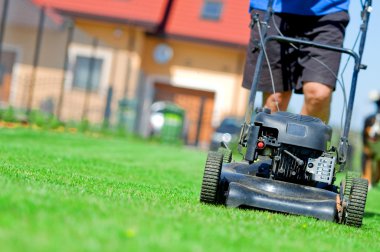 Mowing the lawn clipart