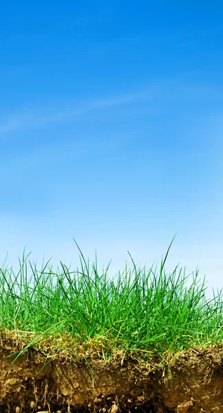 Boden, Gras, Himmelsquerschnitt — Stockfoto