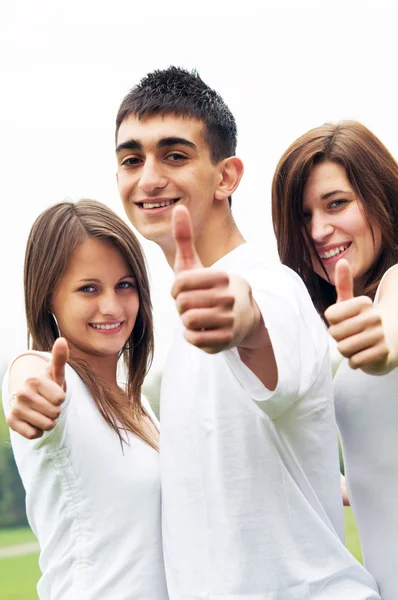 Happy friends giving okey sign — Stock Photo, Image