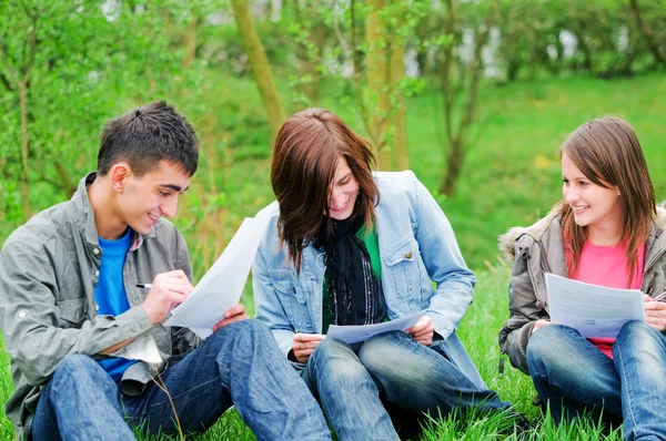 Young students learning outdoor — Stock Photo, Image