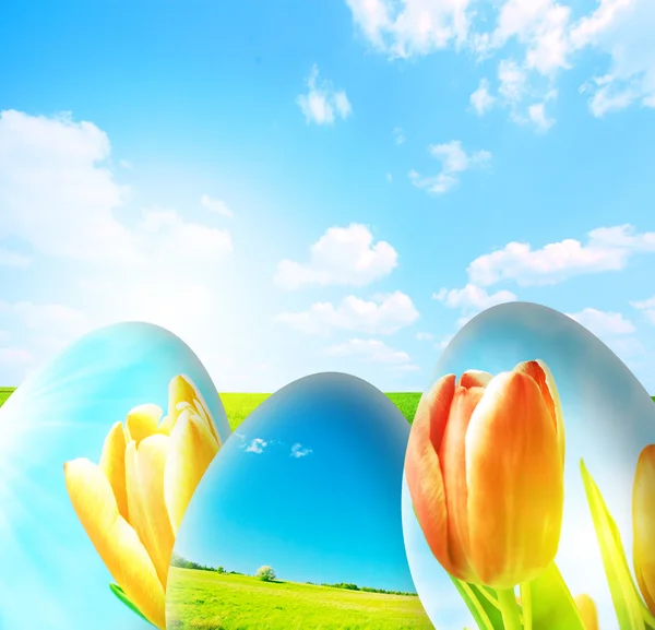 Perfect easter background — Stock Photo, Image