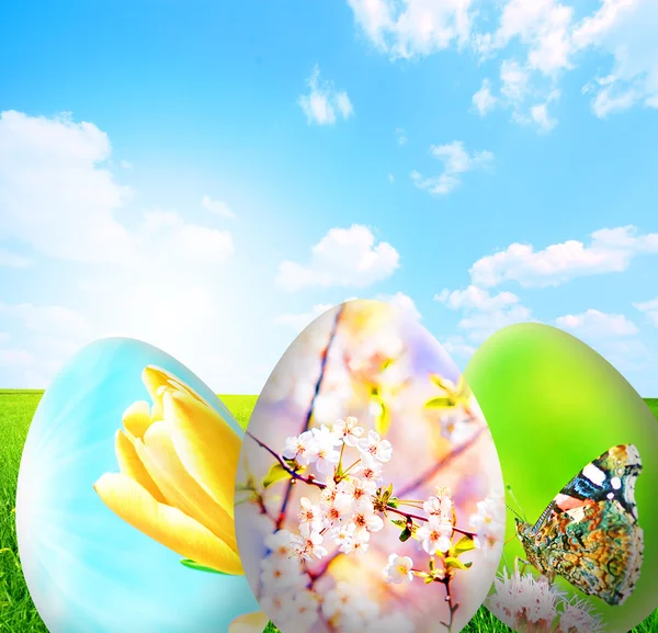 Perfect easter background — Stock Photo, Image