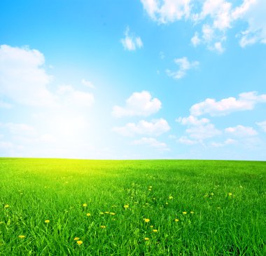 Sunny spring landscape clipart