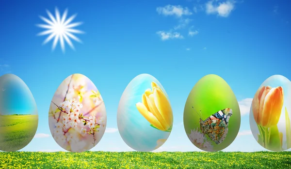 Colorful easter eggs in nature — Stock Photo, Image