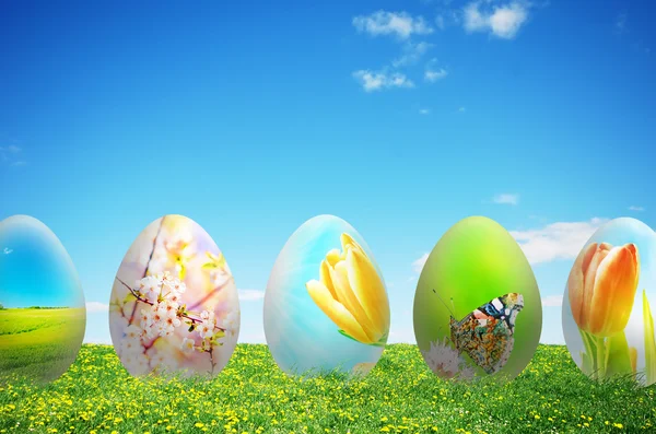自然的七彩复活节彩蛋 — 图库照片