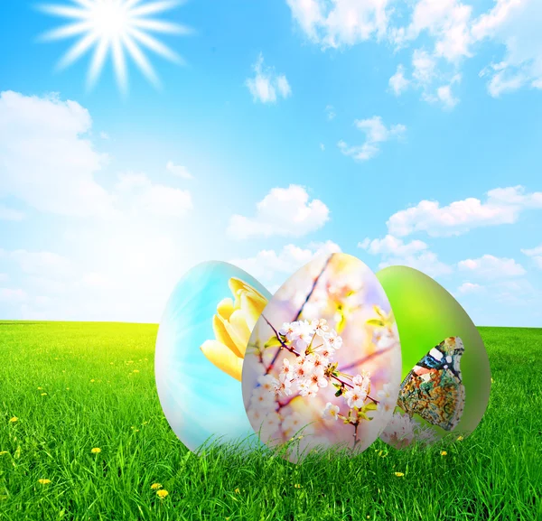 Kleurrijke Pasen eieren in de natuur — Stockfoto