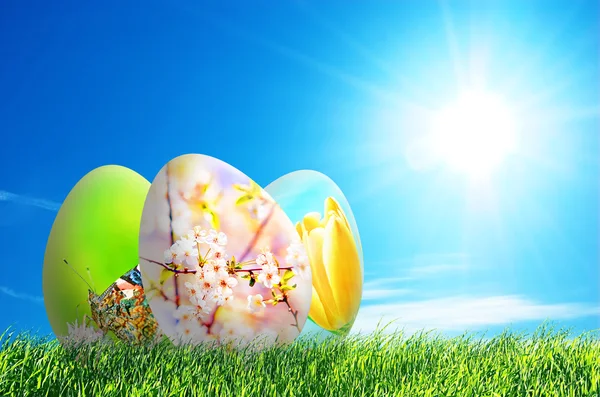 Coloridos huevos de Pascua en la naturaleza —  Fotos de Stock