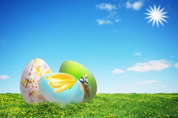 Colorful easter eggs in nature — Stock Photo, Image