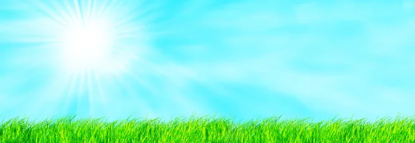 Verse gras op blauwe hemel panorama. — Stockfoto