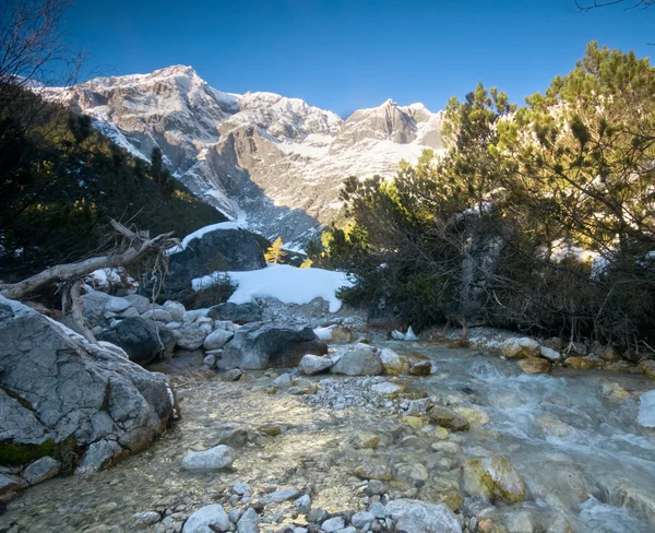 Un paisaje de arroyo de montaña — Foto de Stock