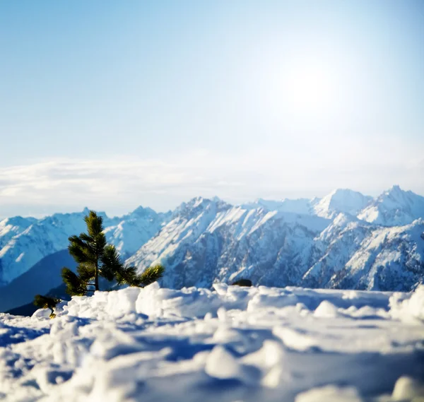 Montanha cenário de inverno nevado — Fotografia de Stock