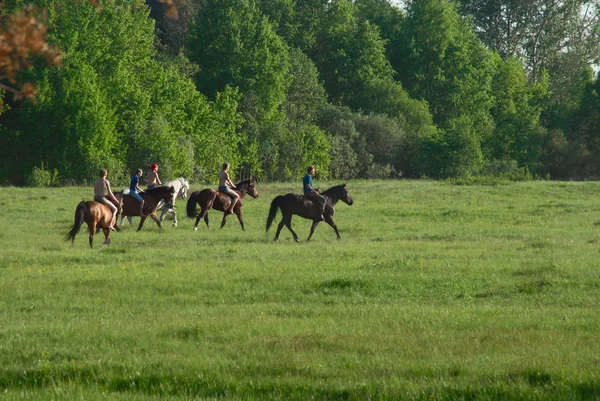 Cavaleiros rurais na região de Moscou — Fotografia de Stock
