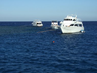 kayıklar