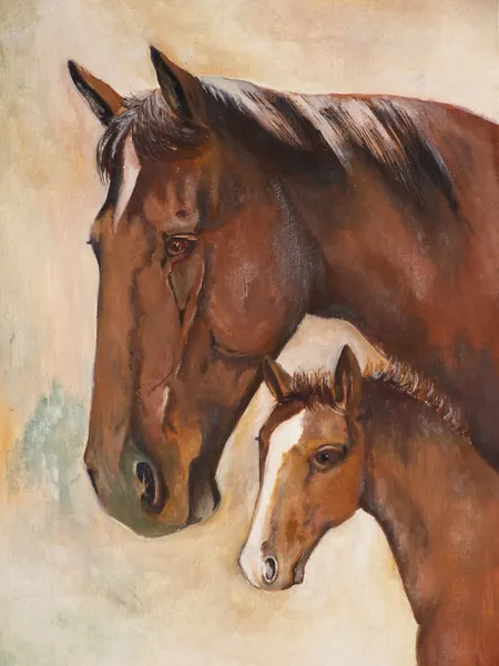 Koně, olejové barvy — Stock fotografie