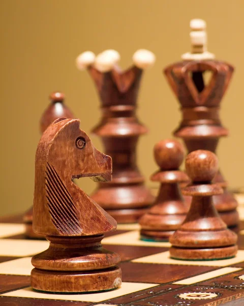 Chess horse — Stock Photo, Image