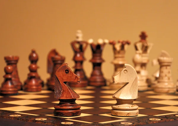 Cavalos de xadrez — Fotografia de Stock