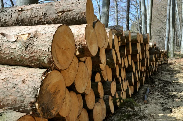 Timber Stock Photo