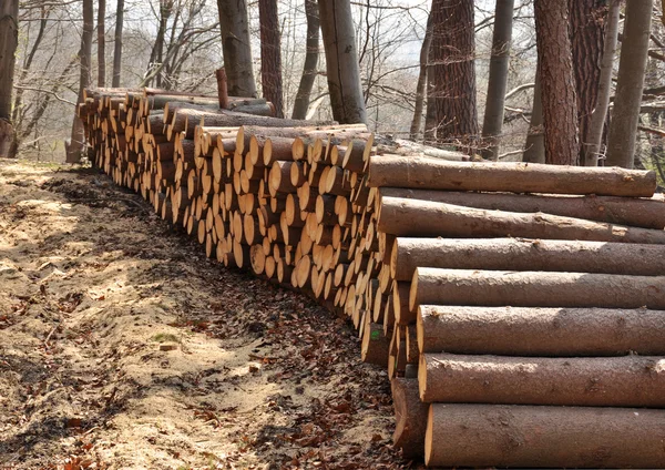 Timber — Stock Photo, Image