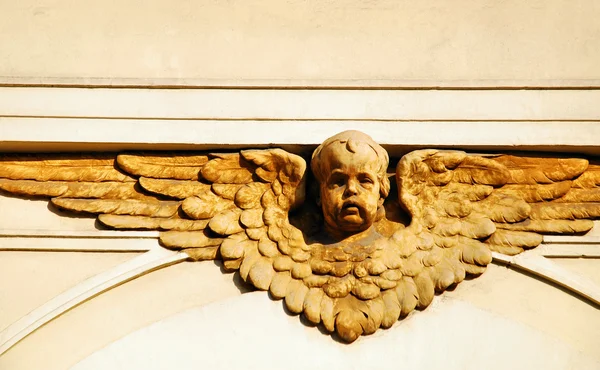 Twarz anioła — Zdjęcie stockowe